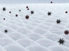 <b>抗菌紡織品知多少？后疫情時代紡織品開發(fā)方向</b>